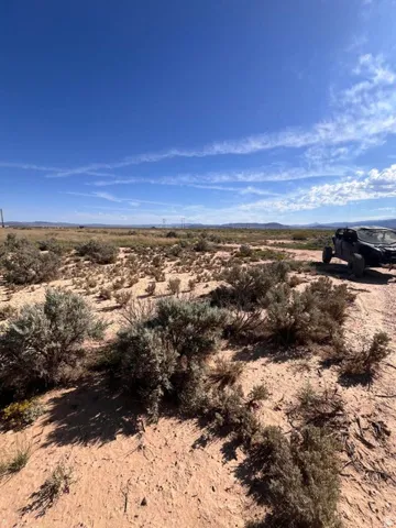 Expansive arid landscape with natural vegetation and distant mountains