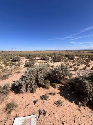 Expansive undeveloped land featuring sparse native vegetation and clear sky