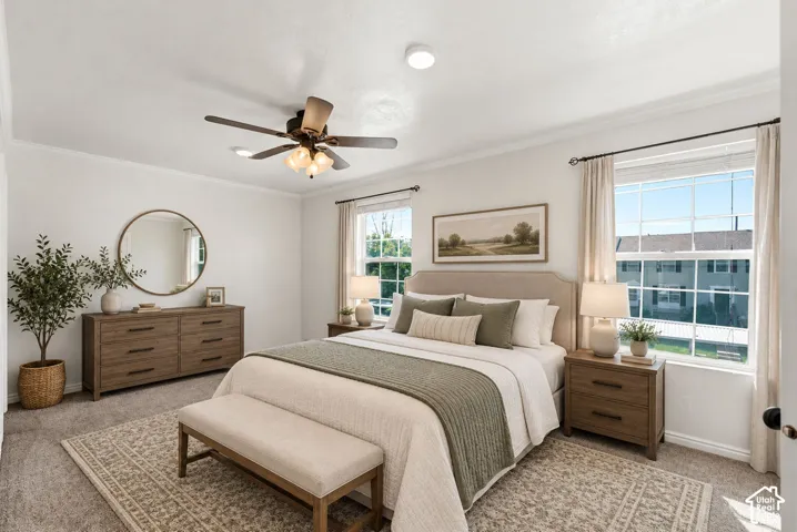 White walls with crown molding, wood-finish ceiling fan with integrated lighting, dual large windows, and a carpeted floor