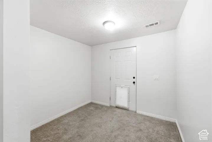 Neutral wall paint, textured ceiling, flush mount ceiling light, and gray carpeting