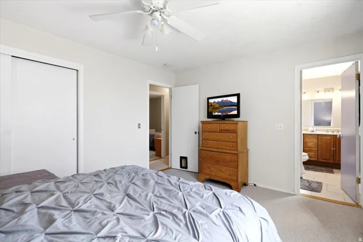 Wall-to-wall carpeting and white walls
