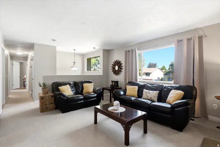 Bright living space with large window, a partial wall, and carpet flooring