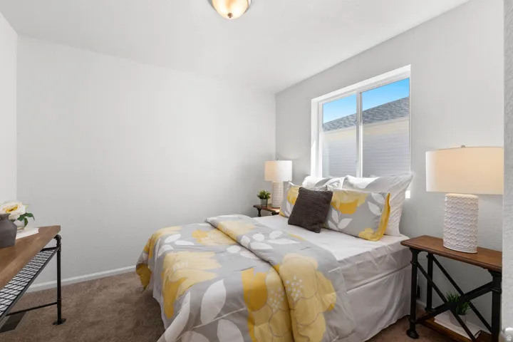 Neutral wall finishes, carpeted flooring, a window with white trim, and a ceiling-mounted light fixture