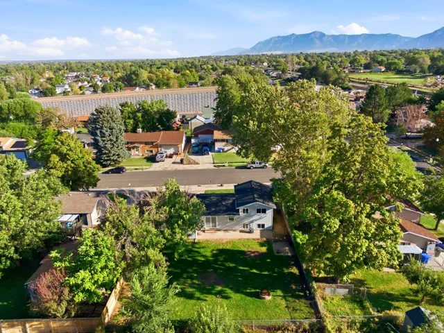 Expansive property with a large grassy yard and mature trees