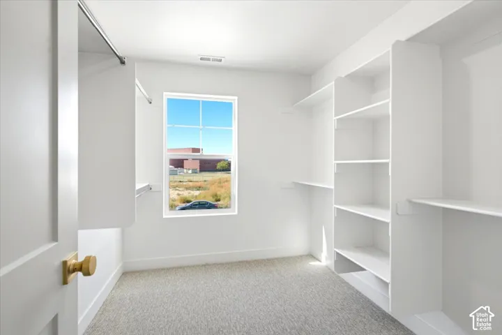 Walk-in closet featuring white built-in shelving, integrated garment rods, carpeted flooring, and a single-pane window