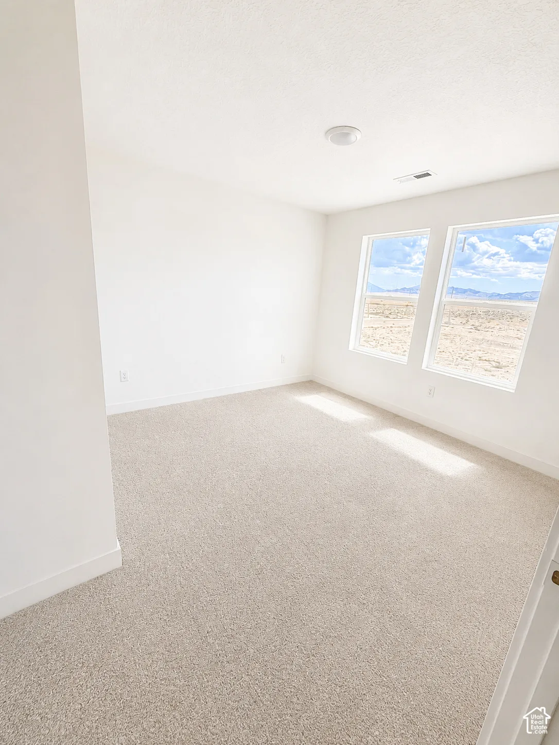 Neutral-toned carpeting, white walls, and two window openings