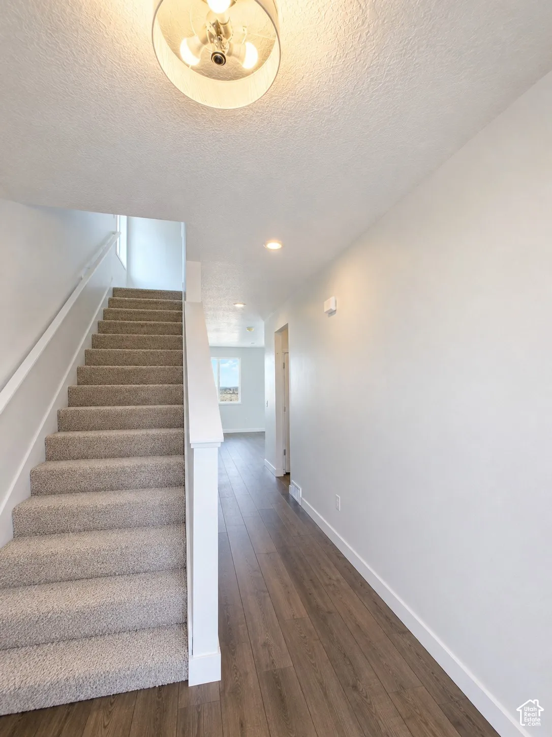 Wood-finish flooring throughout the hallway