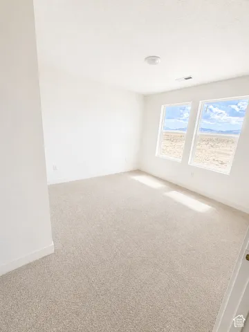Neutral-toned carpeting, white walls, and two window openings