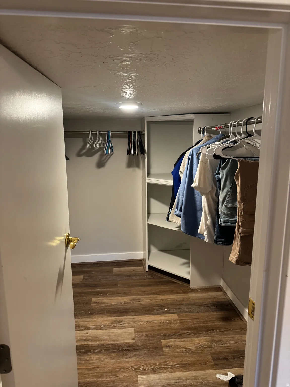 Wood-finish flooring, built-in shelving, recessed lighting, and hanging rods
