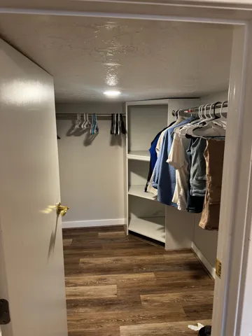 Wood-finish flooring, built-in shelving, recessed lighting, and hanging rods