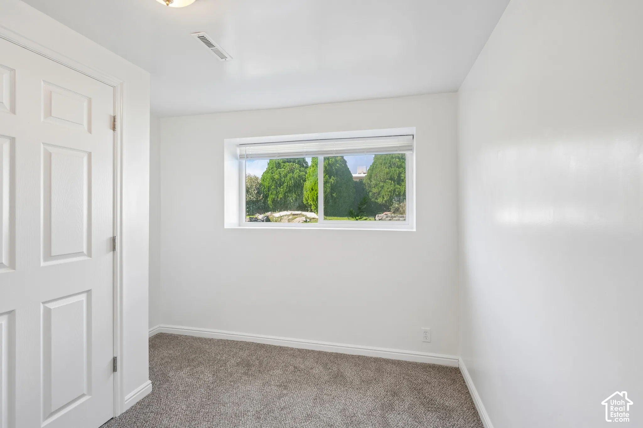 Recessed window with blinds, paneled interior door, flush-mount ceiling light, and carpeted flooring