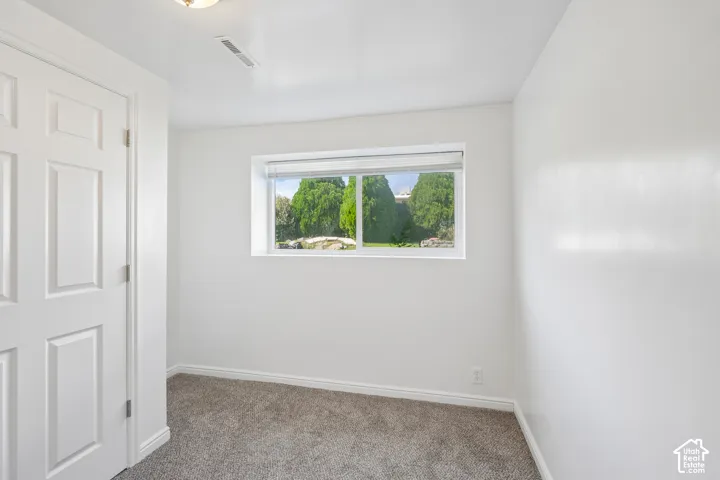 Recessed window with blinds, paneled interior door, flush-mount ceiling light, and carpeted flooring