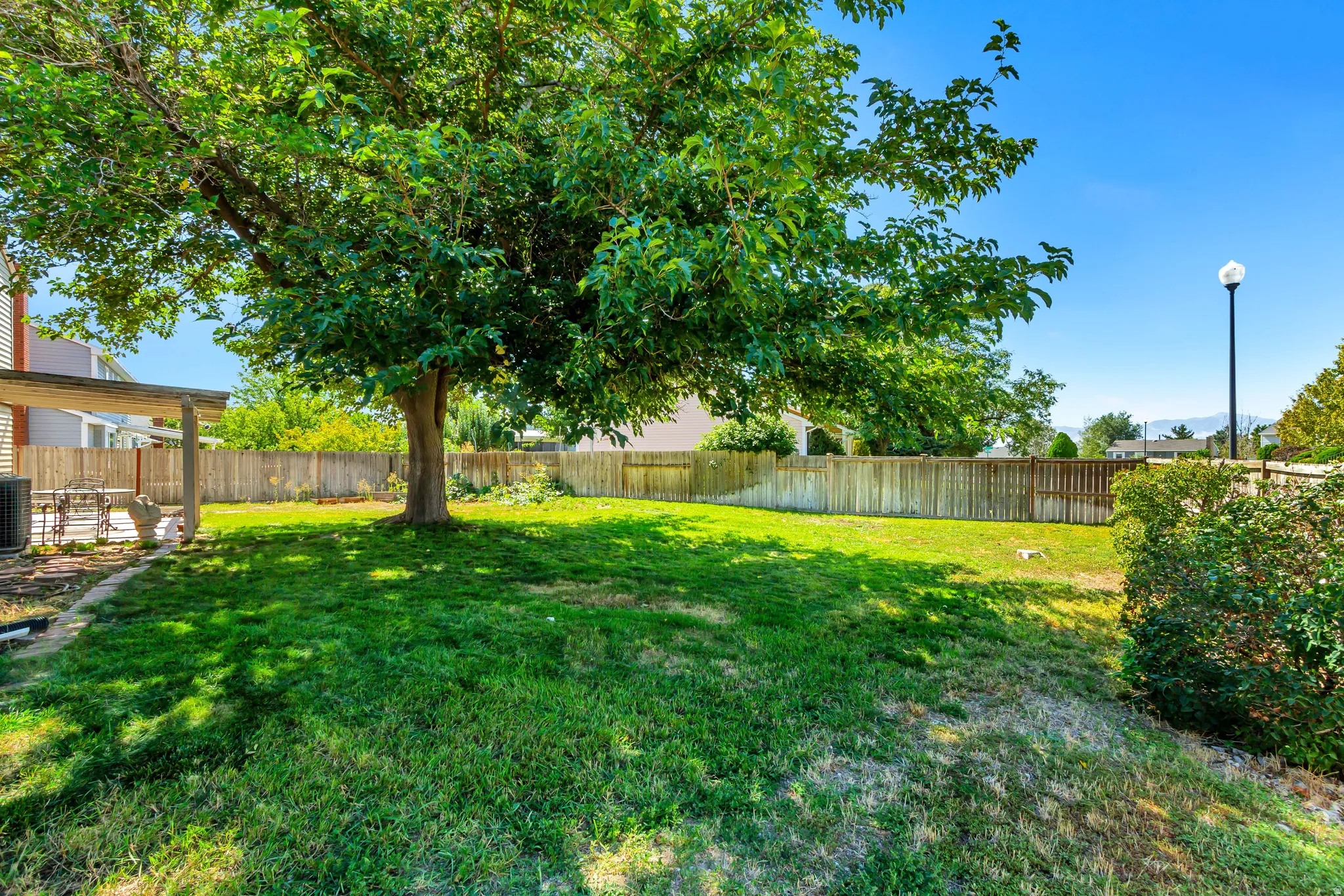 Backyard. Expansive green lawn with a mature shade tree, full privacy fencing, and a covered patio area