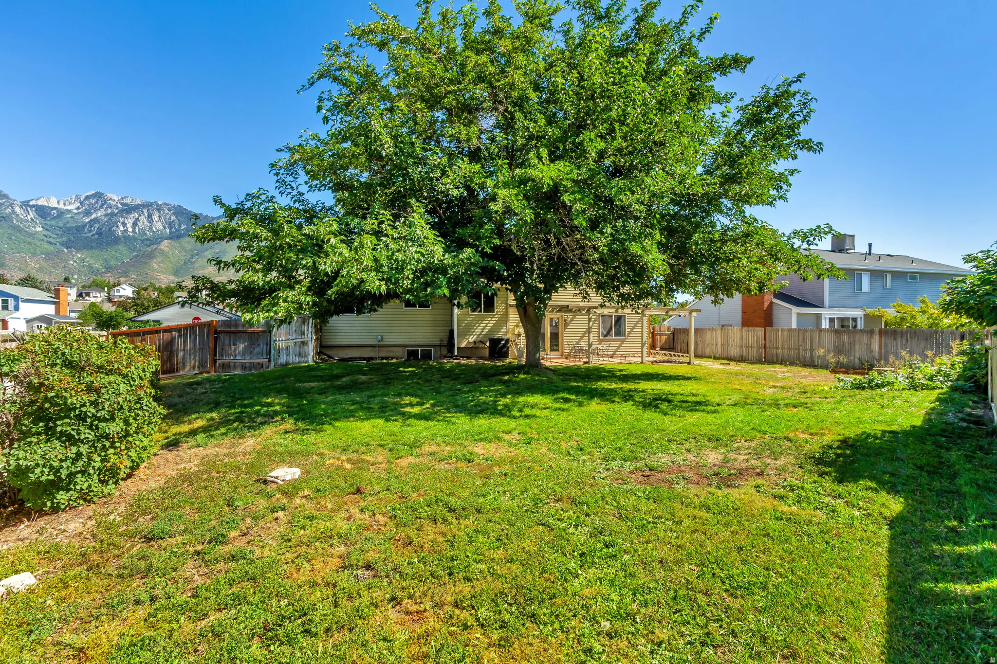 Backyard.  Expansive backyard with a manicured lawn, mature tree, and mountain scenery