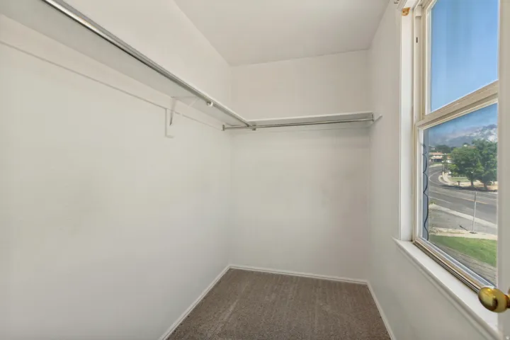 Primary - Built-in shelving with hanging rods and neutral carpet flooring