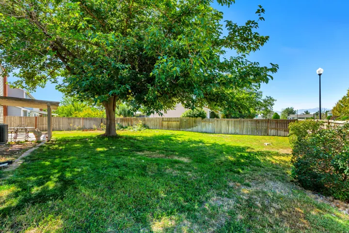 Backyard. Expansive green lawn with a mature shade tree, full privacy fencing, and a covered patio area
