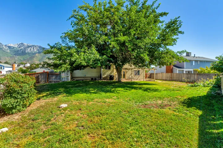 Backyard.  Expansive backyard with a manicured lawn, mature tree, and mountain scenery