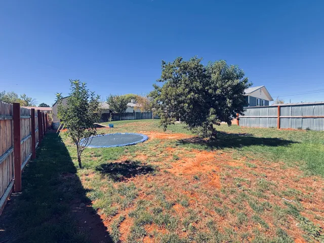 Apple and Peach Trees