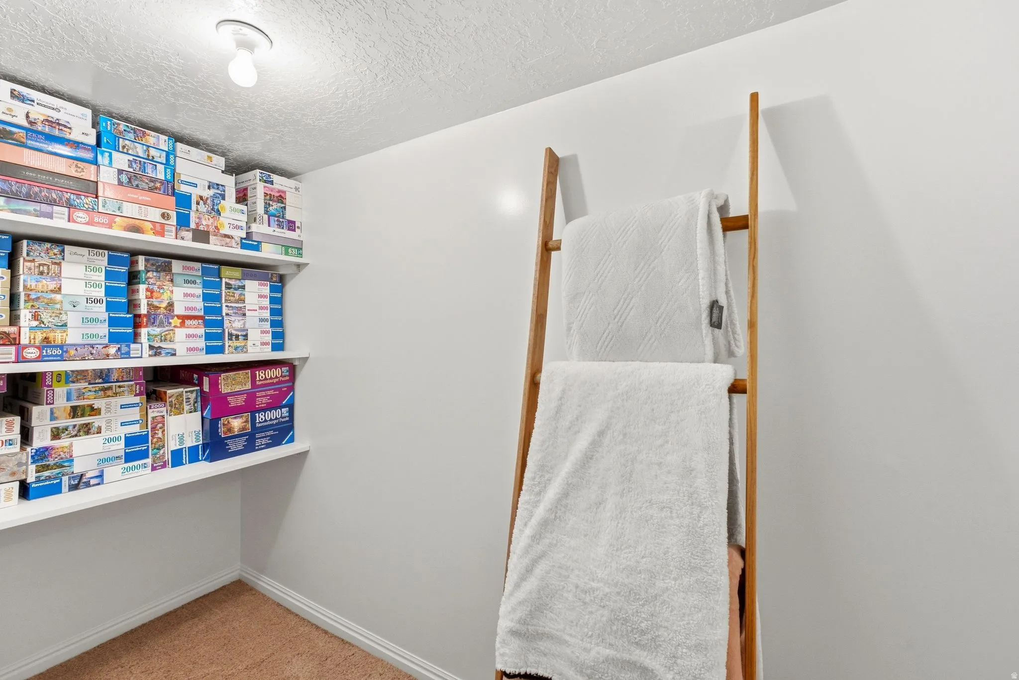 Wall-mounted shelving units, recessed ceiling lighting, and light brown carpeting