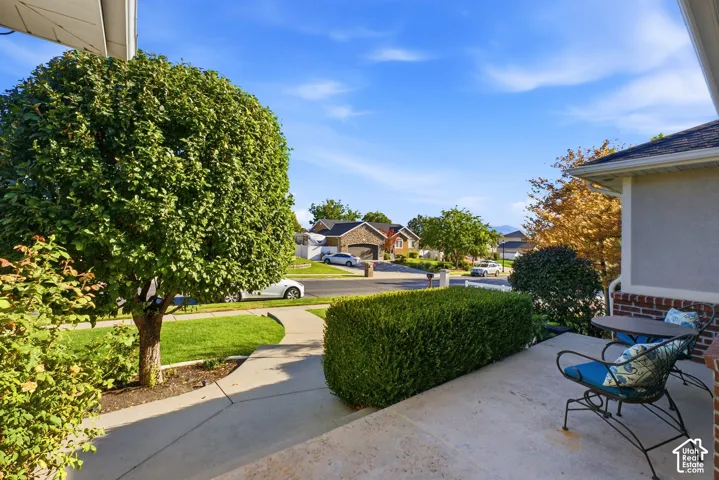 Front porch with brick accents, concrete walkway, mature tree, and manicured landscaping