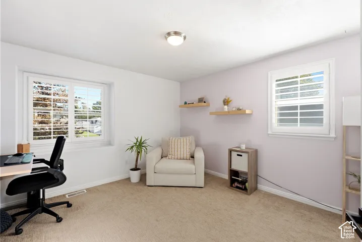 Carpeted flooring, white walls, two windows with plantation shutters, and a flush mount ceiling light