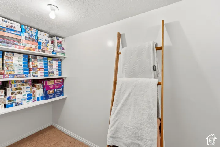 Wall-mounted shelving units, recessed ceiling lighting, and light brown carpeting