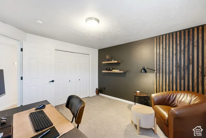 Built-in closet with panel doors, recessed wall shelving, accent wall with vertical wood slat detailing, and neutral tone carpeting