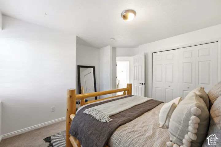 Carpeted flooring, white interior walls, white bi-fold closet doors, and an overhead flush-mount light fixture