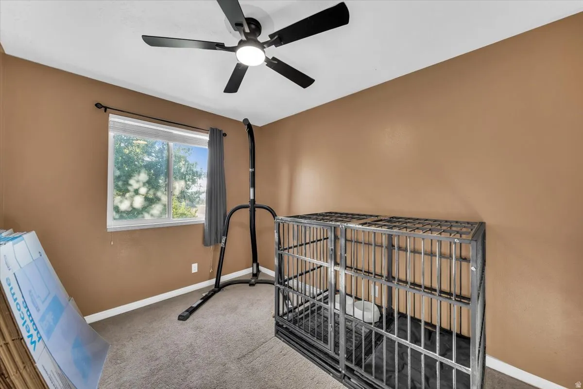 Window with outdoor scenery, ceiling fan with integrated lighting, wall-to-wall carpeting, and neutral wall paint