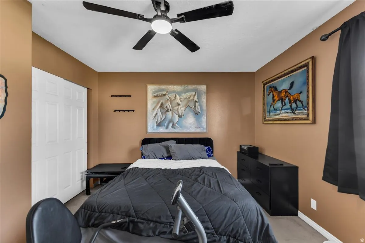 Ceiling fan, bifold closet doors, and wood-finish flooring