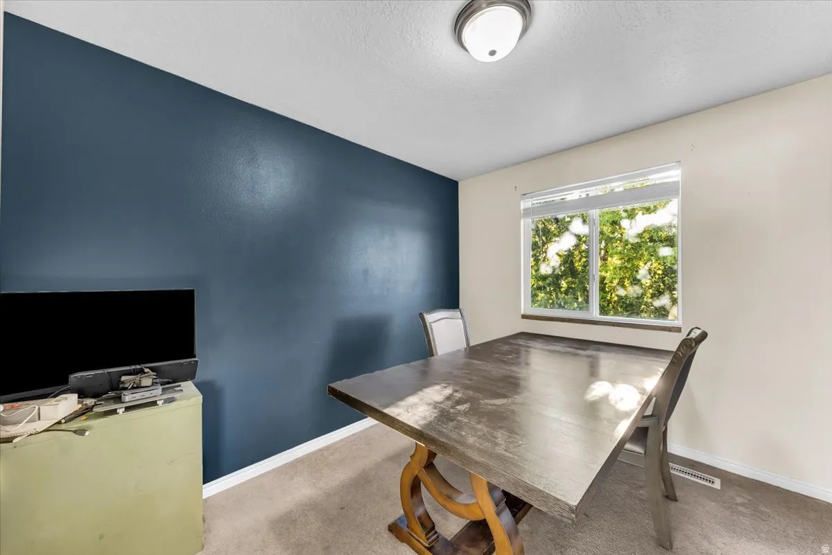 Accent wall, single window, flush-mount lighting, carpet flooring, window blinds