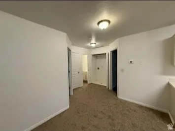 Property Interior. Displaying a hallway with carpeted flooring and multiple doorways