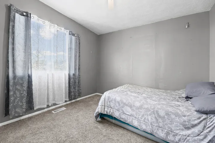 Plush carpet flooring, neutral painted walls, and a window with natural light