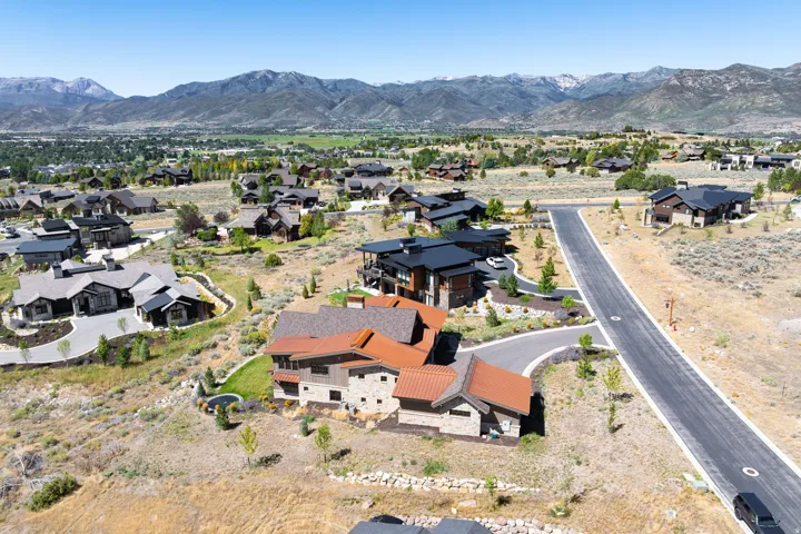 Aerial perspective featuring a residential area with varied architectural styles, paved roads, and extensive natural landscaping