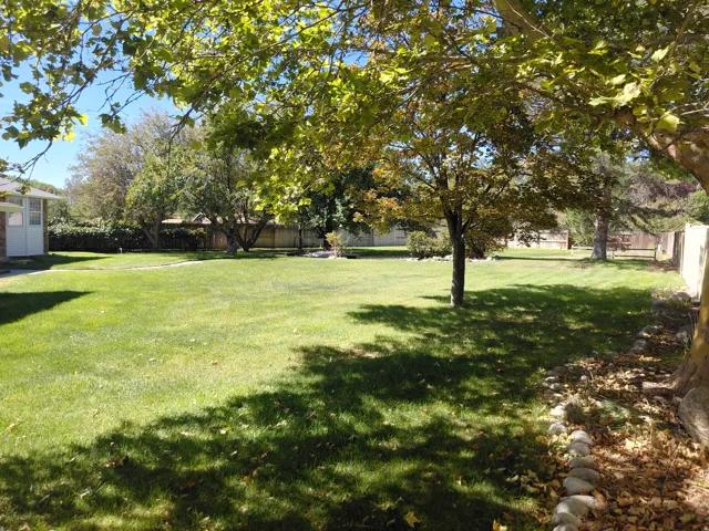 Expansive lawn with mature trees and a partial privacy fence