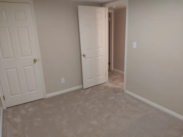 Plush carpeting, neutral wall finishes, white trim, and white panel doors