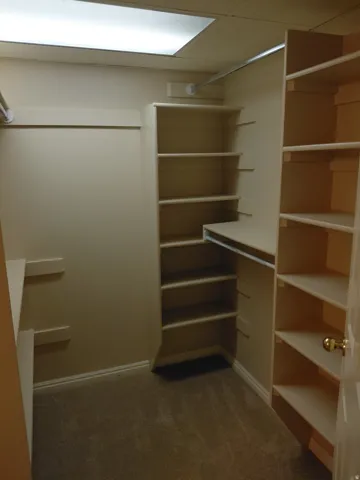 Recessed lighting, built-in shelving, hanging rods, and neutral-tone carpeting