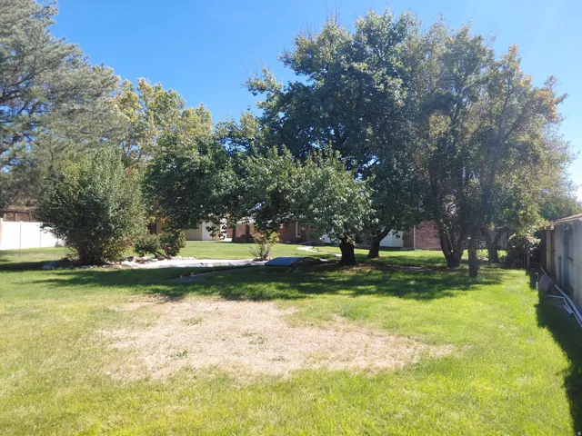 Expansive lawn area with several mature trees and established shrubbery
