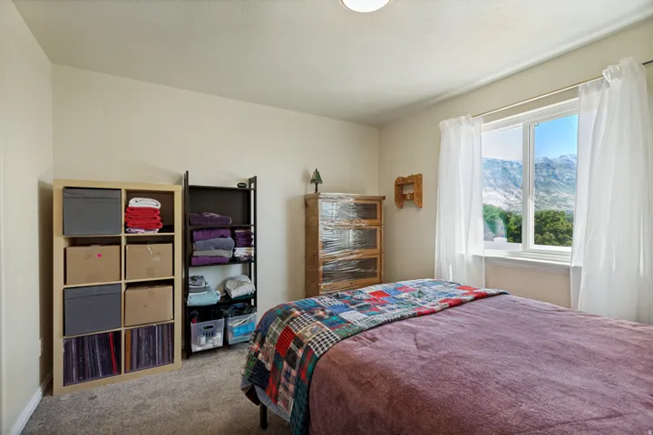 Plush carpeting and a single window with white trim