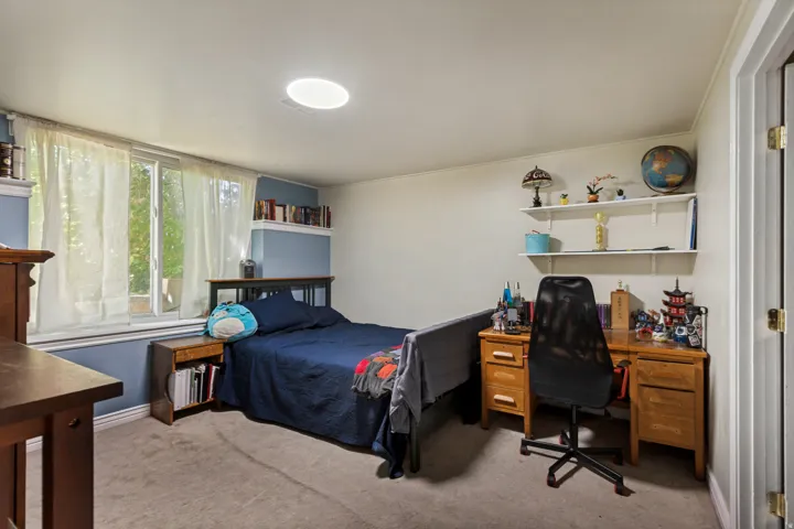 Window with natural light, wall-mounted shelving, built-in recessed shelving, carpeted flooring, and a flush-mount ceiling light