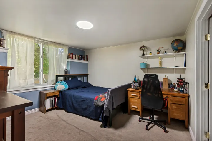 Expansive window offering natural light, built-in shelving, soft neutral carpeting, and a ceiling light fixture