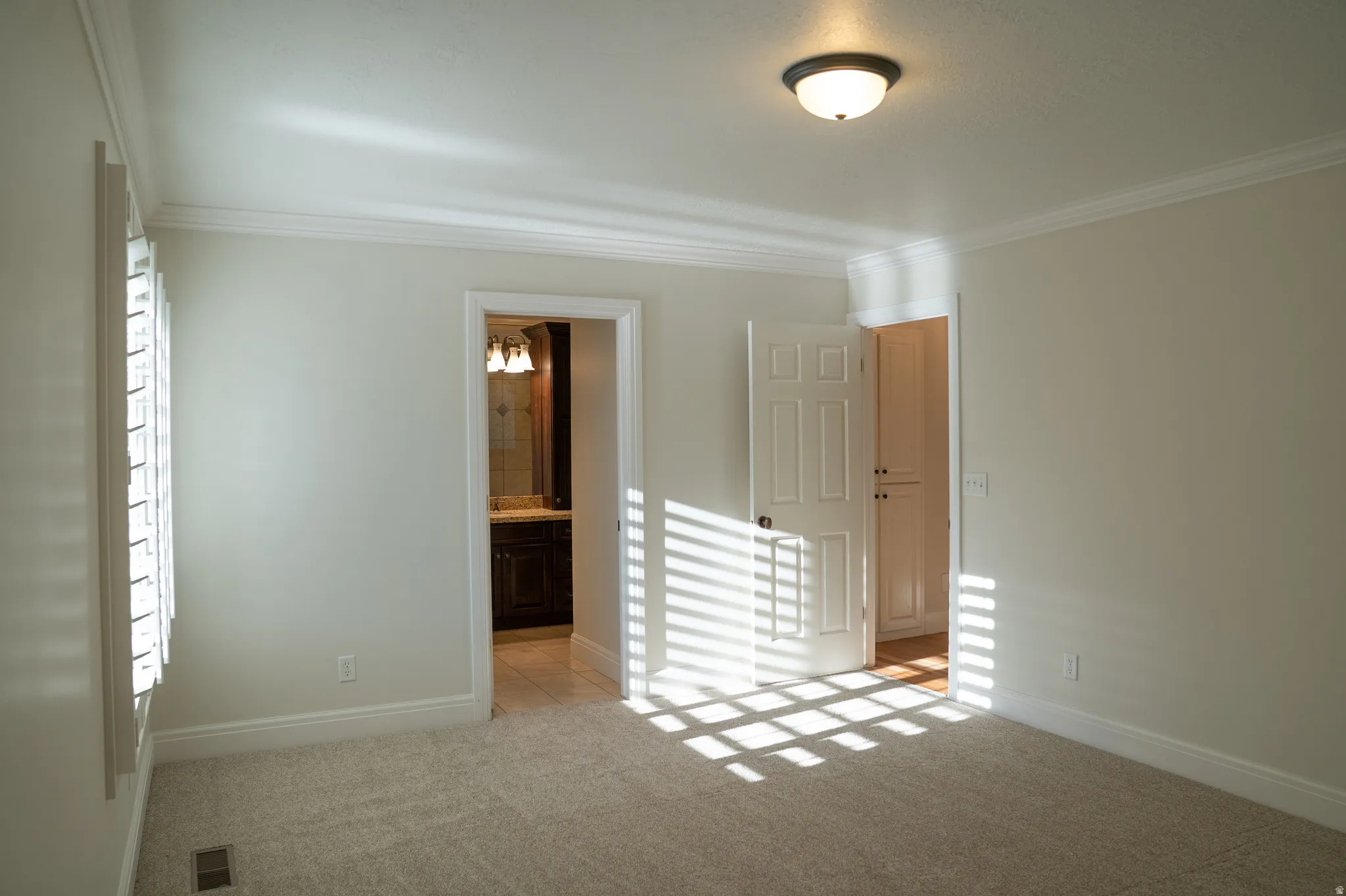 Plush carpet flooring, crown molding, and a flush mount light fixture