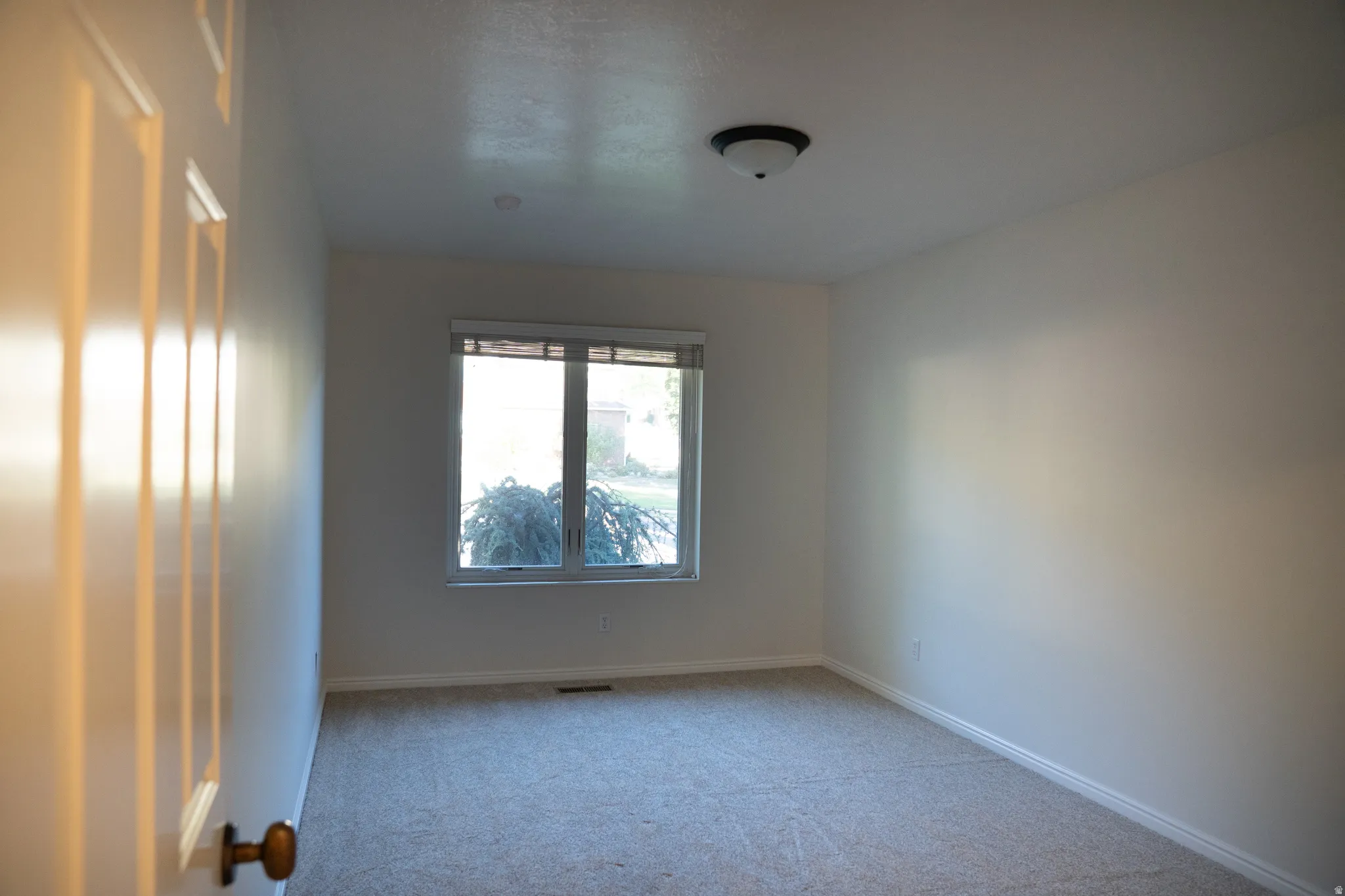 Neutral tone wall finishes, carpeting, window with blinds, and ceiling-mounted light fixture