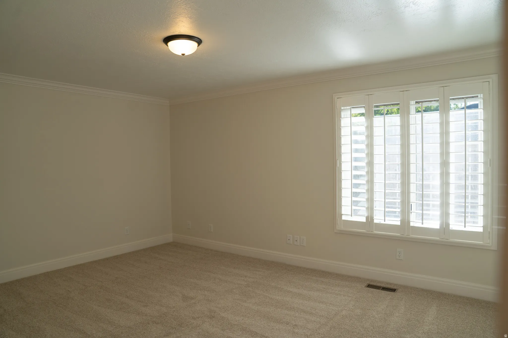 Plantation shutters, crown molding, and neutral-toned carpet with matching wall paint