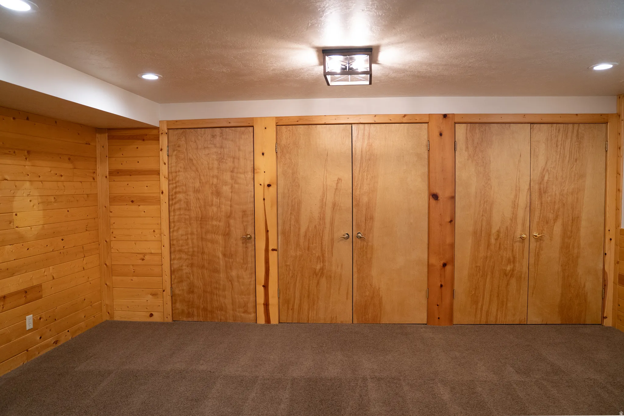 Wood-paneled wall, recessed lighting, central flush-mount light fixture, and broadloom carpeting
