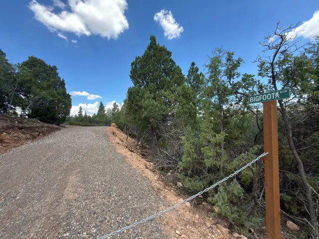 Gravel road access with surrounding mature trees and a clear blue sky