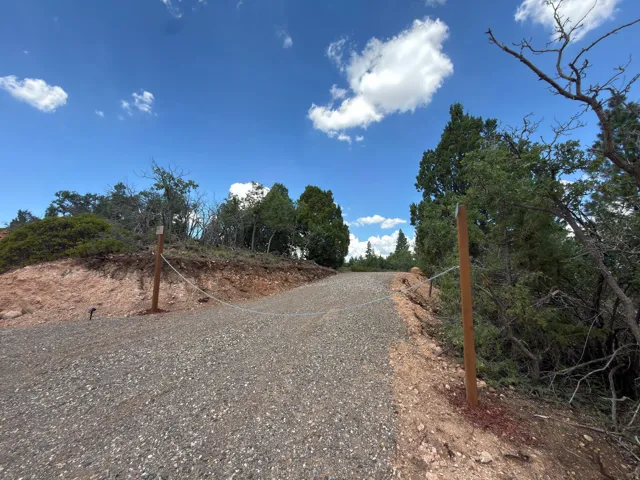 Gravel driveway with wood posts and chain, surrounded by natural landscaping