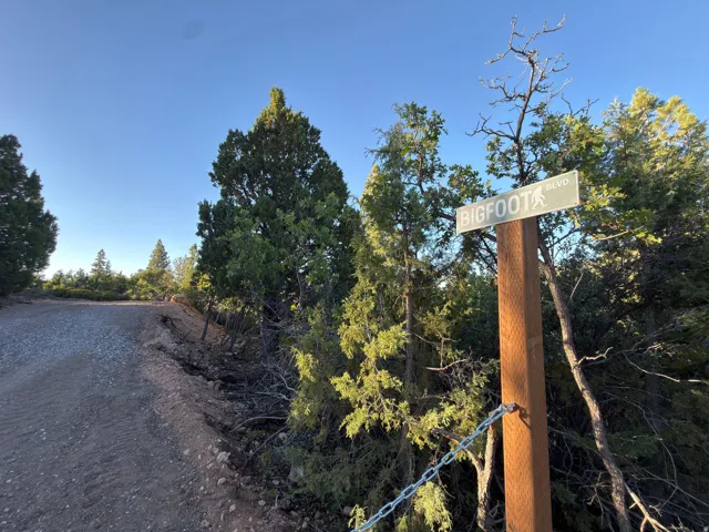 Gravel road access with surrounding mature trees and natural landscaping