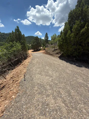 Gravel pathway ascending through a natural landscape, bordered by mature evergreen trees and rugged terrain