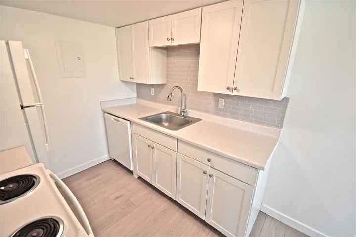 Kitchen sink, dishwasher and disposal